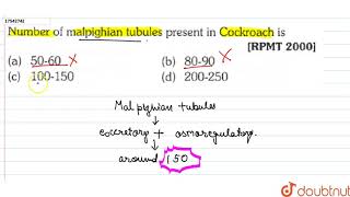 Number of malpighian tubules present in Cockroach is [upl. by Coy183]