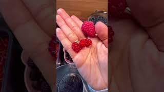 WineberryTayberry food fruit [upl. by Lasky89]