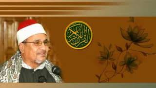 الشيخ محمد عبدالوهاب الطنطاوي سورة القصص Mohamed Abdel Wahab Al Tantawi [upl. by Nirroc]