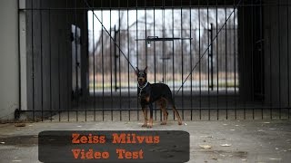 Zeiss Milvus Video Test Footage [upl. by Nrojb]