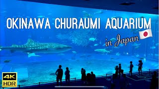 4K Okinawa Churaumi Aquarium  Largest Aquarium in Japan [upl. by Eeslehc]