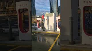 The Unbelievable Magic Dock at Tesla Supercharger  IONIQ 5 Experience [upl. by Gearhart625]