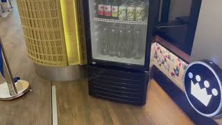 PremiumLevella Glass Door Display Refrigerator 10 0 cu ft Commercial Beverage Cooler Merchandiser [upl. by Tterrab]