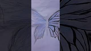 Butterfly Drawing  StepbyStep  with  Easy Drawing  drawing art Butterfly [upl. by Petey345]