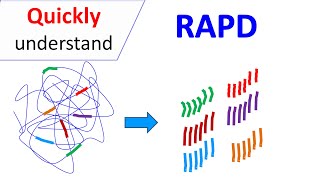 RAPD  Random Amplification of Polymorphic DNA [upl. by Pierro]