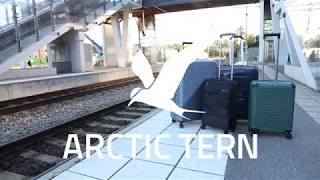 ARCTIC TERN TRAVEL TROLLEY [upl. by Odlo]