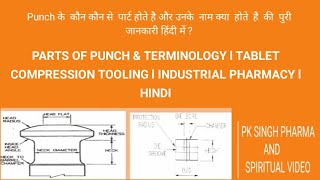 PARTS OF PUNCH amp TERMINOLOGY l TABLET COMPRESSION TOOLING l INDUSTRIAL PHARMACY l HINDI [upl. by Cataldo]