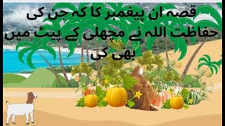 Kidsstories  Islamic stories for kids in Urdu  dadiamma k kahania  hazrat younus A S or machli [upl. by Ameen529]