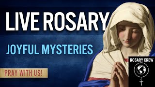 Live Rosary Joyful Mysteries [upl. by Ainekahs371]