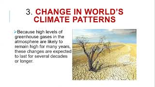 Effects Of Global Warming  Rise In Sea Levels amp Change In Worlds Climate Patterns [upl. by Nosmas702]