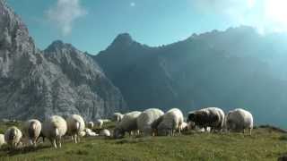 Alpenwelt Karwendel  Bergwandern und Klettern [upl. by Dyana773]