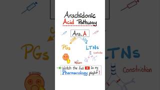 Arachidonic Acid Pharmacology Prostaglandins and Leukotrienes…biology nclex mbbs pharmacology [upl. by Anirual439]