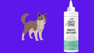 Before You Buy SKOUTS HONOR Probiotic Ear Cleaner for Pets  Gently Cleans Soothes [upl. by Annairdna]