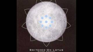 Switched On Lotus [upl. by Nerhtak]