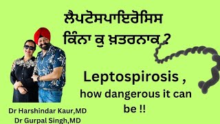 Leptospirosis how dangerous ਕਿੰਨਾ ਖ਼ਤਰਨਾਕ ਹੈ ਲੈਪਟੋਸਪਾਇਰੋਸਿਸ 189 [upl. by Ydok]