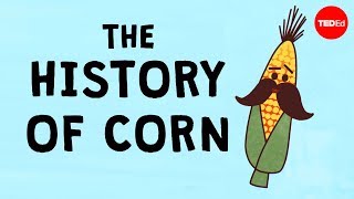 The history of the world according to corn  Chris A Kniesly [upl. by Nylanaj]