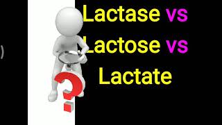 Lactase vs Lactose vs Lactate [upl. by Dorion]