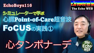 心臓PointofCare超音波（FoCUS）の実践① 心タンポナーデ [upl. by Yer132]