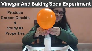 Vinegar and Baking Soda Balloon Experiment  Inflating A Balloon Using Vinegar And Baking Soda [upl. by Elok988]