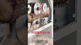 wood multiblade saw sliding table saw timber man timber processing plant [upl. by Hodgson808]