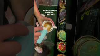 Kestrel nest garden subscribe the channel❤️foryou coffee latteart karinasart tuliart [upl. by Channing775]