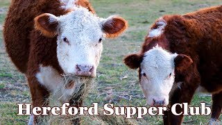 Hereford Supper Club [upl. by Auberta864]