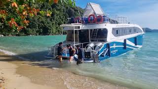 Surin Islands Snorkeling Day Trip by Catamaran from Khao Lak [upl. by Pansie]