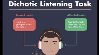 Dichotic Listening linguistics shortvideo learning [upl. by Franni]