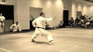 Sensei Waldo Ramírez Flores examen ROKUDAN [upl. by Pirri763]