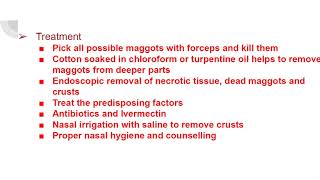 Nasal Myiasis Maggots in nose [upl. by Elamor]