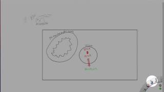 Biochemie Lite Teil 13 [upl. by Eleets449]