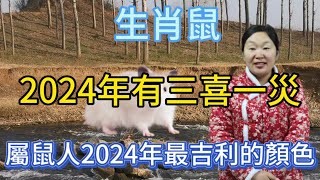 生肖屬相鼠！屬鼠人在2024年有三喜一災！到底是哪三喜？還有什麼災呢！本期視頻謹慎生肖鼠三喜一災以及屬鼠人2024年最吉利的顏色是什麼？生肖 運勢 風水 2024 [upl. by Suhcnip]