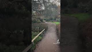 Best place to run in London  Richmond Park trail running [upl. by Ahtelahs]