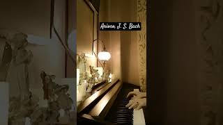 Arioso Cantata BWV 156 JS Bach By Caroline Chai [upl. by Ekeiram]