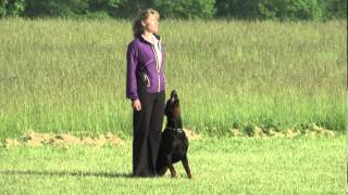 Eiko v Landgraf AWDF 2012 Obedience [upl. by Aerdnua]