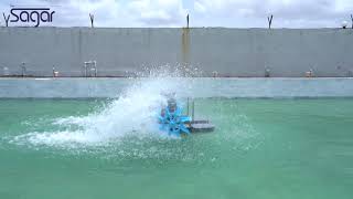 1HP Paddle Wheel Aerator Performance Video [upl. by Elleon]