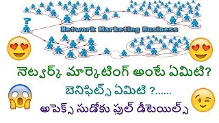 what is network marketing in telugu benifits of multilevel marke  Apex Sudoku full details telugu [upl. by Neelrac]