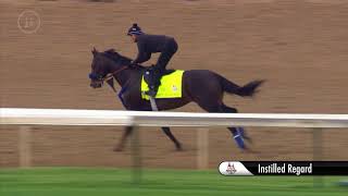 Kentucky Derby Contender Instilled Regard Gallops Thursday [upl. by Ellynn]