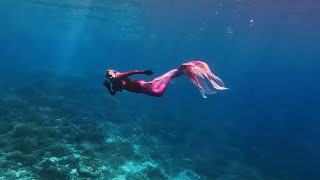 Live Mermaids Swimming in LABUAN BAJO 🧜‍♀️😍 [upl. by Adnahc]