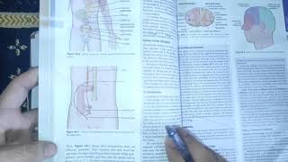 physiology guyton 49 visceral parietal and Referred painclinicals of painneurophysiologymbbs [upl. by Tammy]