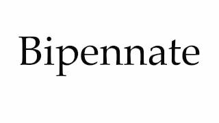 How to Pronounce Bipennate [upl. by Orin]