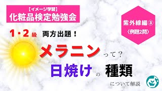 紫外線編③【イメージ学習】〈化粧品検定勉強会〉メラニンって？日焼けの種類について解説 [upl. by Abram]