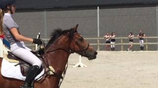 Megs 1m Show Jumping Clear Round [upl. by Chap]