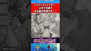 レイリーとシャッキー、公式で夫婦である事が判明する！！ ワンピース [upl. by Frymire]