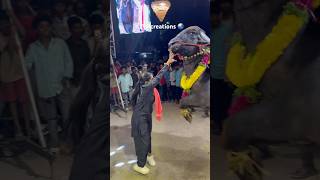 SWAPNA YADAV SADAR AGMAN 2024  sadar festival grand Celebration 2024  sadarfestival subscribe [upl. by Adine]