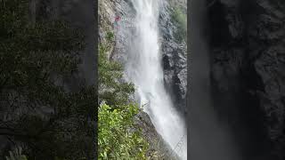 Ellenborough Falls NSW you must visit 🥹🥹🥹 waterfalls travel travelnsw [upl. by Anuqahs]