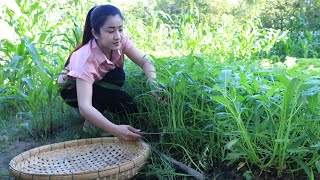 Water spinach is good to cook with beef triple  Harvest water spinach for cooking [upl. by Townie330]