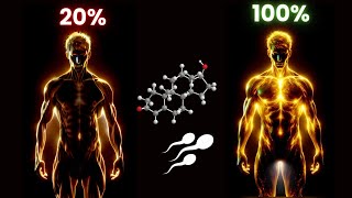 Boost Your Testosterone amp Spem 🔥 Must Watch Video For Every Man 🔥 [upl. by Dinin663]