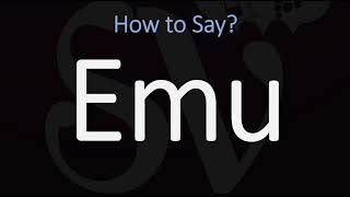 How to Pronounce Emu CORRECTLY [upl. by Damita]