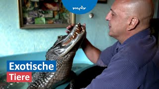 Positivliste Haltung exotischer Tiere soll eingeschränkt werden  Umschau  MDR [upl. by Odlavso]